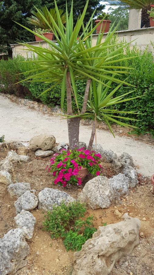 Casa Vacanze Villa Tropia Camastra Luaran gambar